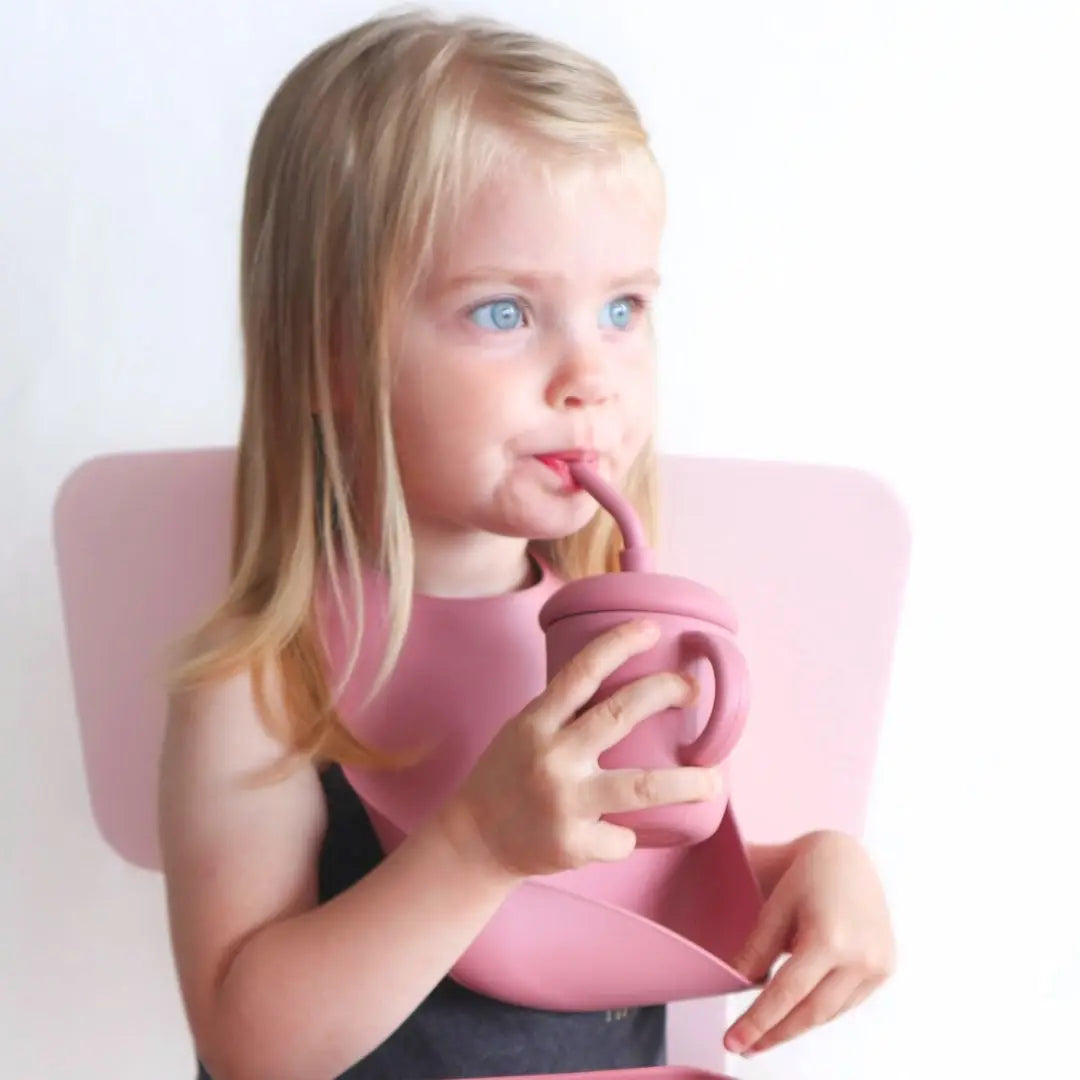 Sippy Cup with Straw, Spill-Proof & Anti-Stain - Dusty Rose