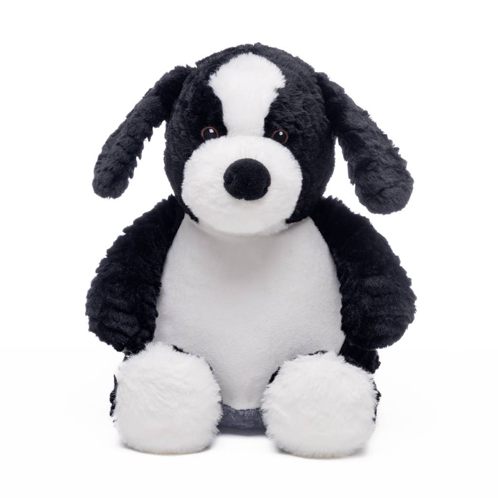 Baby Border Collie