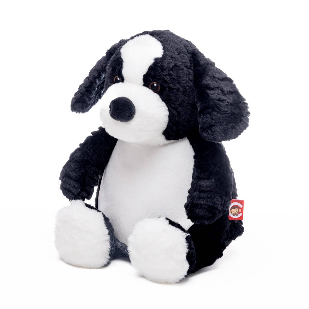 Baby Border Collie