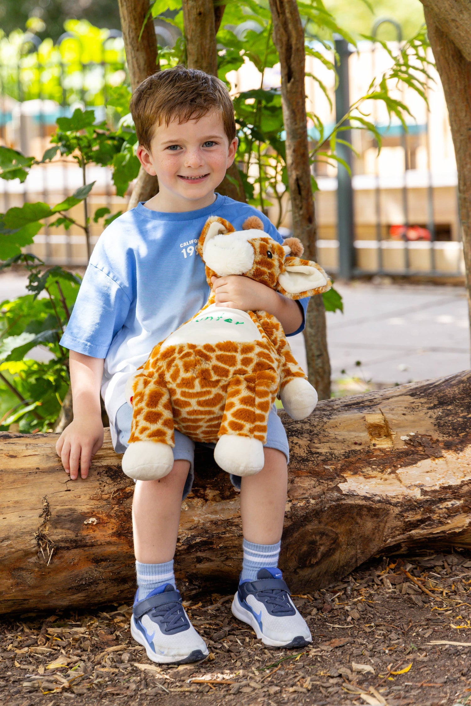Baby Giraffe