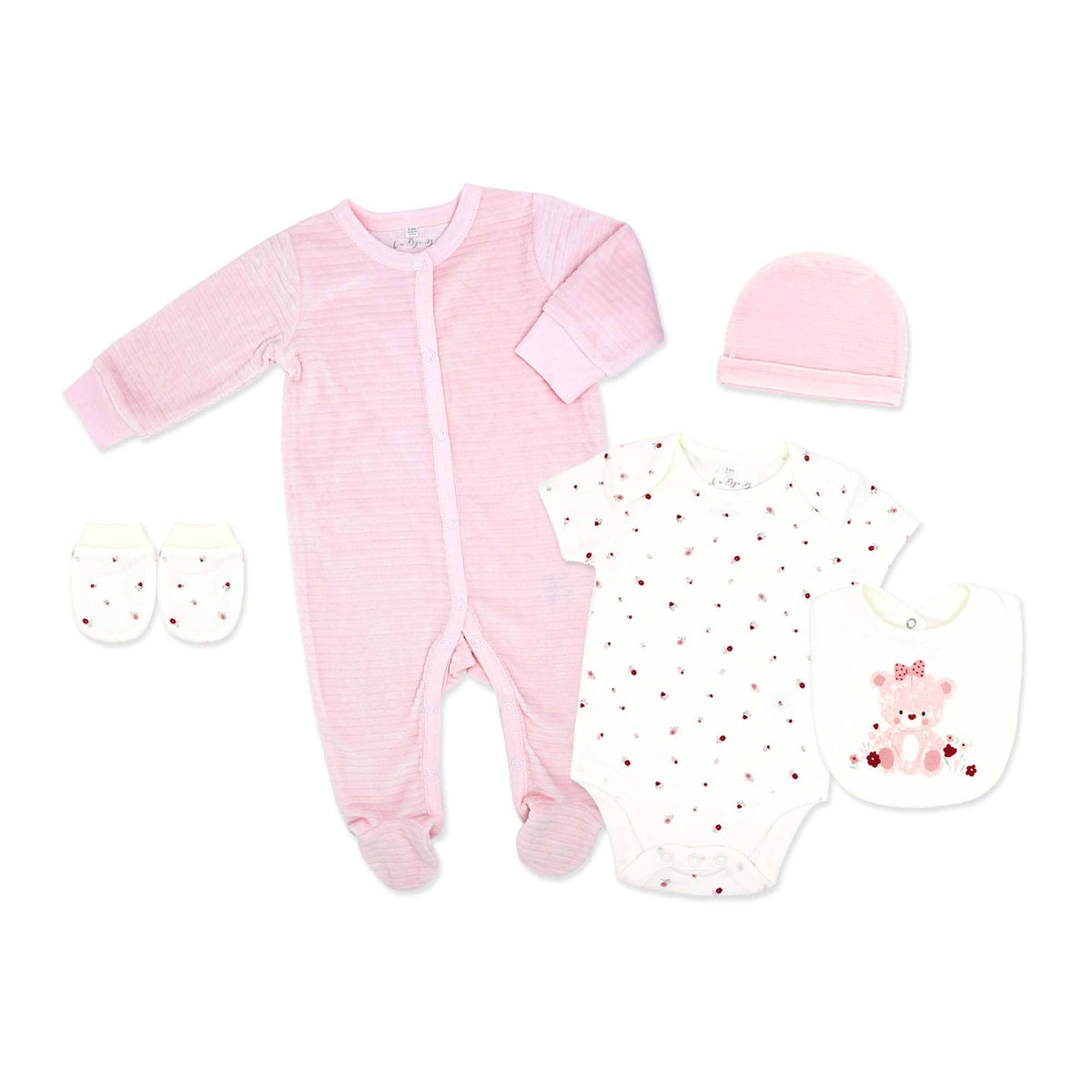 5 Piece Velour Set: Pink Bear