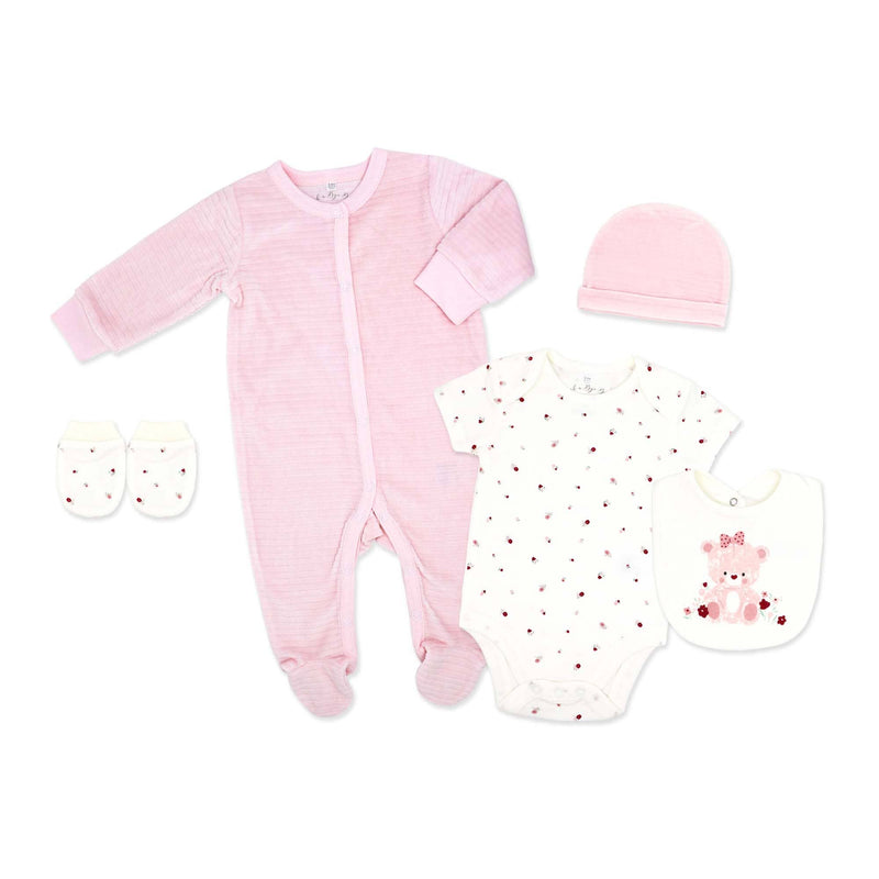 5 Piece Velour Set: Pink Bear